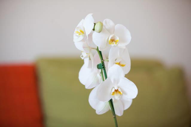 Apartman 4 You Zagreb